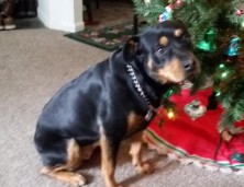 steel first christmas