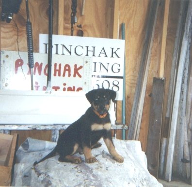 leigh my paint helper